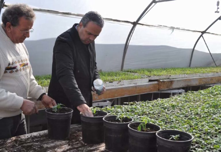 ζεόλιθος στο θερμοκήπιο της Ελένης Γεωργακάκη. Ν. Λυγερός - Μυτιλήνη | Zeolife.gr