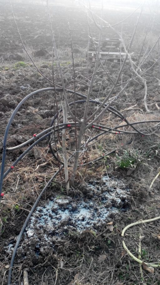 Ενσωμάτωση ζεόλιθου στο κτήμα του Βαγγελούδη Μάριου στη Νέα Ορεστιάδα