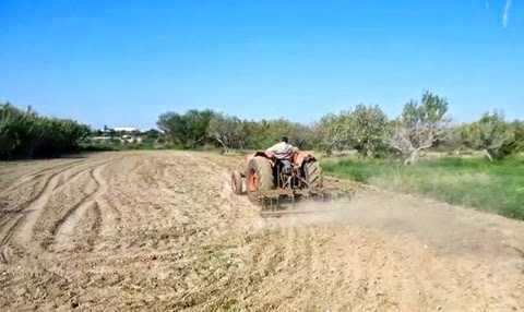 Ενσωμάτωση ζεόλιθου σε τριφύλλι, Αραδίππου – Κύπρος [Φωτογραφίες]