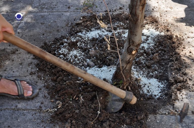 Ενσωμάτωση ζεόλιθου στο αστικό περιβάλλον Αλεξανδρούπολης - Νίκος Λυγερός