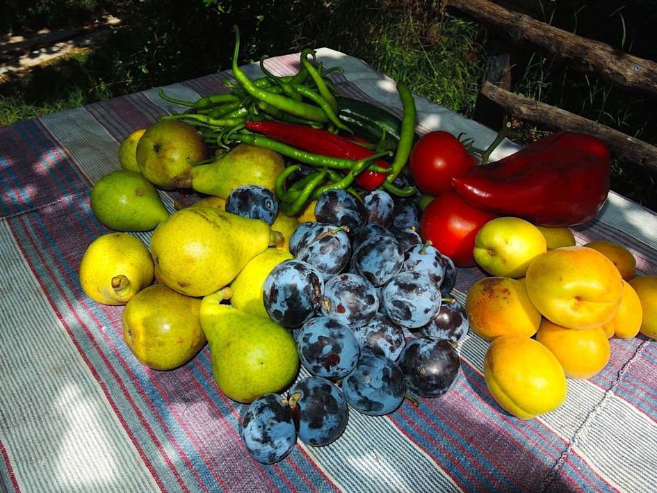 zeolite on tomatoes