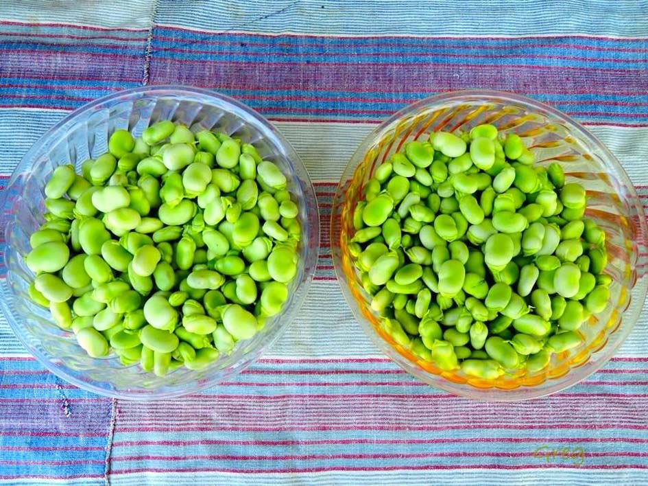 zeolite in kone beans