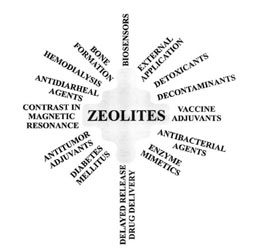 Medical Applications of Zeolites - Kresimir Pavelic and Mirko Hadzija