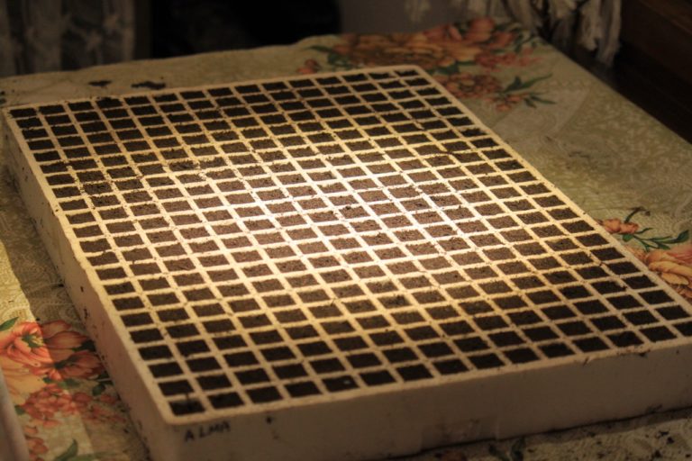 Σπορείο - Ντομάτες με ζεόλιθο