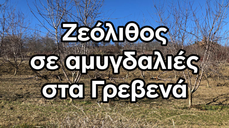 Ζεόλιθος σε αμυγδαλιές στο χωριό Αμυγδαλιές Γρεβενών [Video]