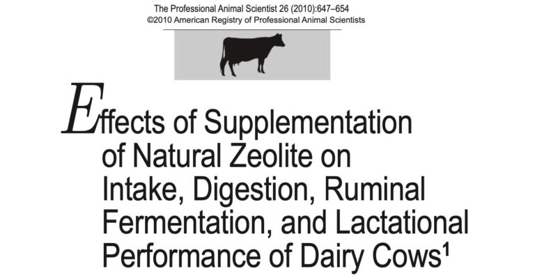 Effects of Supplementation of Natural Zeolite on Intake, Digestion, Ruminal Fermentation, and Lactational Performance of Dairy Cows