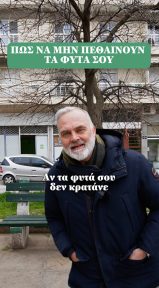 Αν κάνεις τα πάντα σωστά και πάλι δεν βλέπεις αποτέλεσμα… κάτι βασικό σου λείπει 🌱 - Short Video